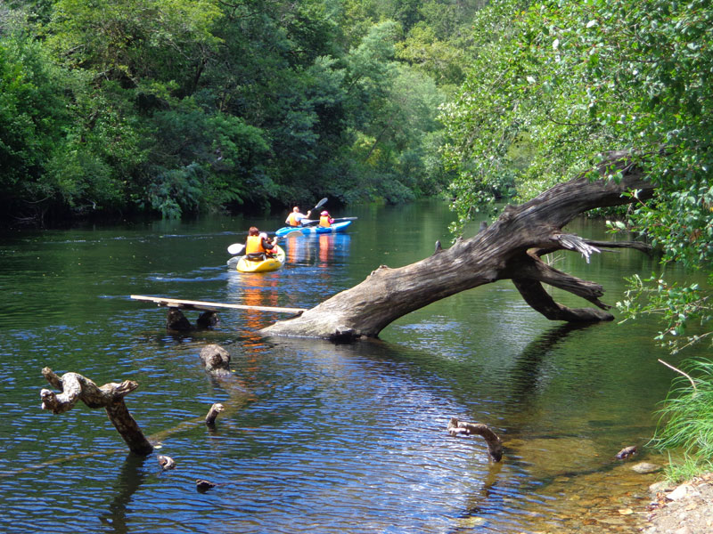 Kayak Libre en aguas del Rio Lerez - Ecoparque Atalaia