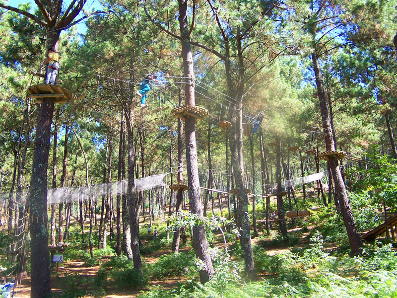 Circuitos Arbóreos. Actividades entre árboles en Ecoparque Marín
