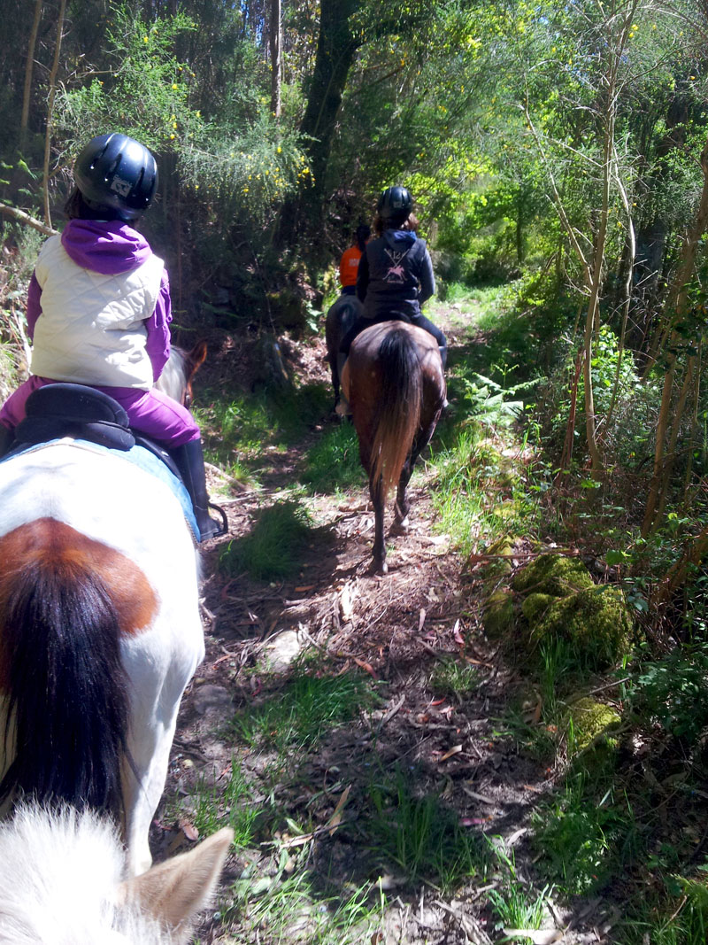 Paseos a caballo en Ecoparques Atalaia y Marín