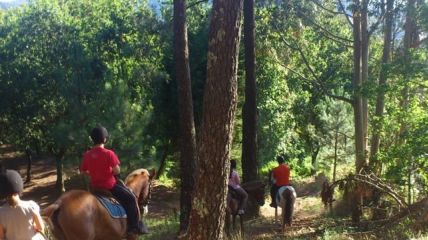 Los paseos o rutas a caballo son una de las mejores formas de disfrutar de actividades al aire libre y en plena naturaleza. Desde Aventura Rias Baixas te ofrecemos esta gran aventura