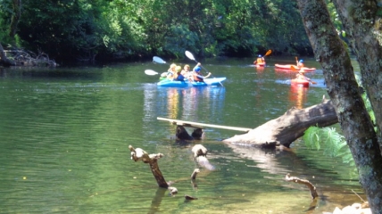 Kayak en el Río Lérez. Ecoparque Atalaia de Aventura Rías Baixas