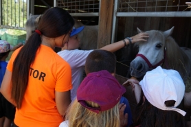 ACTIVIDADES ECOGRANJA ATALAIA